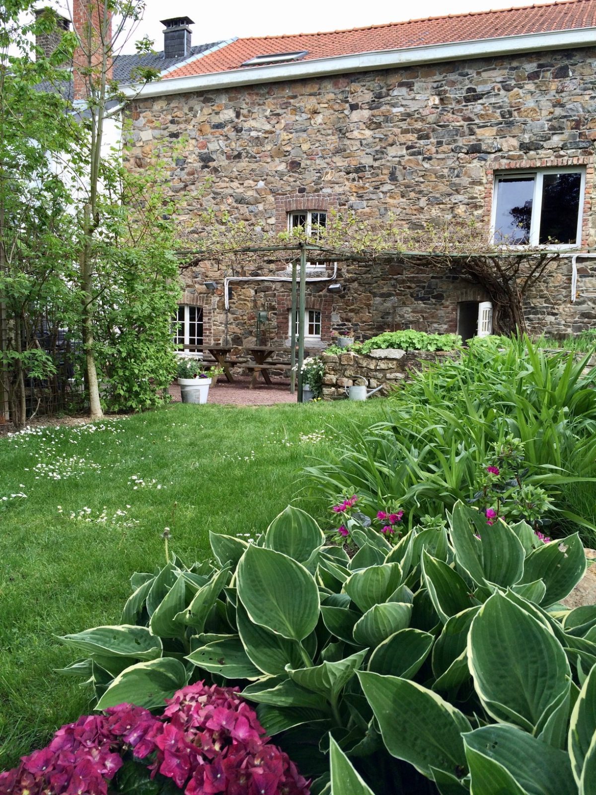 La terrasse du gîte